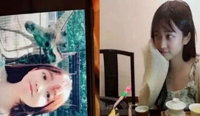可以和鸽子一起分享哦